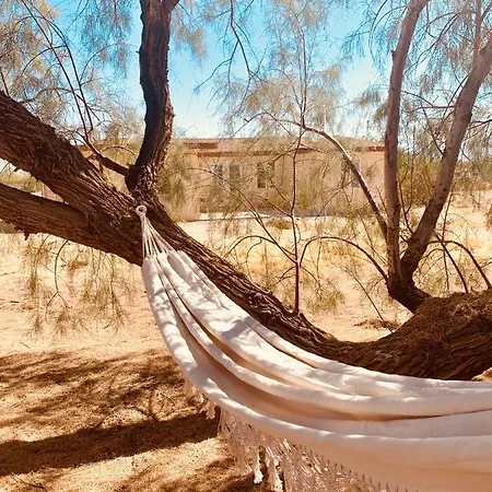 Casa Agave: Comfy Joshua Tree Cottage With Free Breakfast Bar Exterior photo